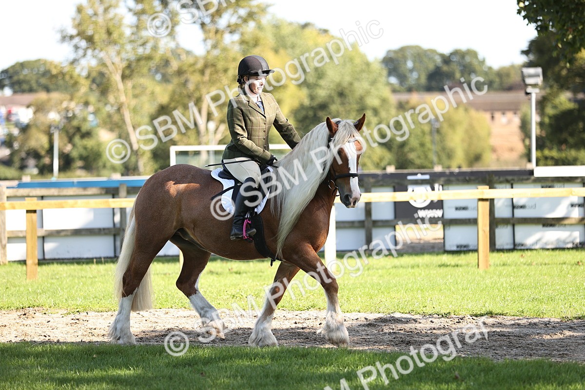 SBM_16903 - S2 - TSR Ridden Pony Showing
