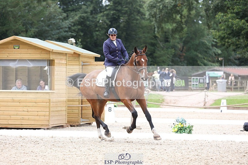 230812-120833-03938 - Cls 5 Novice Bronze 11.15 to 12.50 break