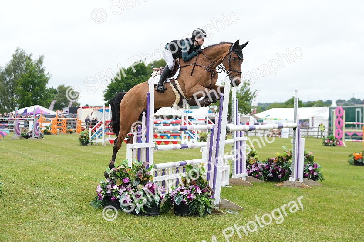 SBM_03475 - Class 201 - British Horse Feeds Speedi Beet Horse of the Year Show Grade  C