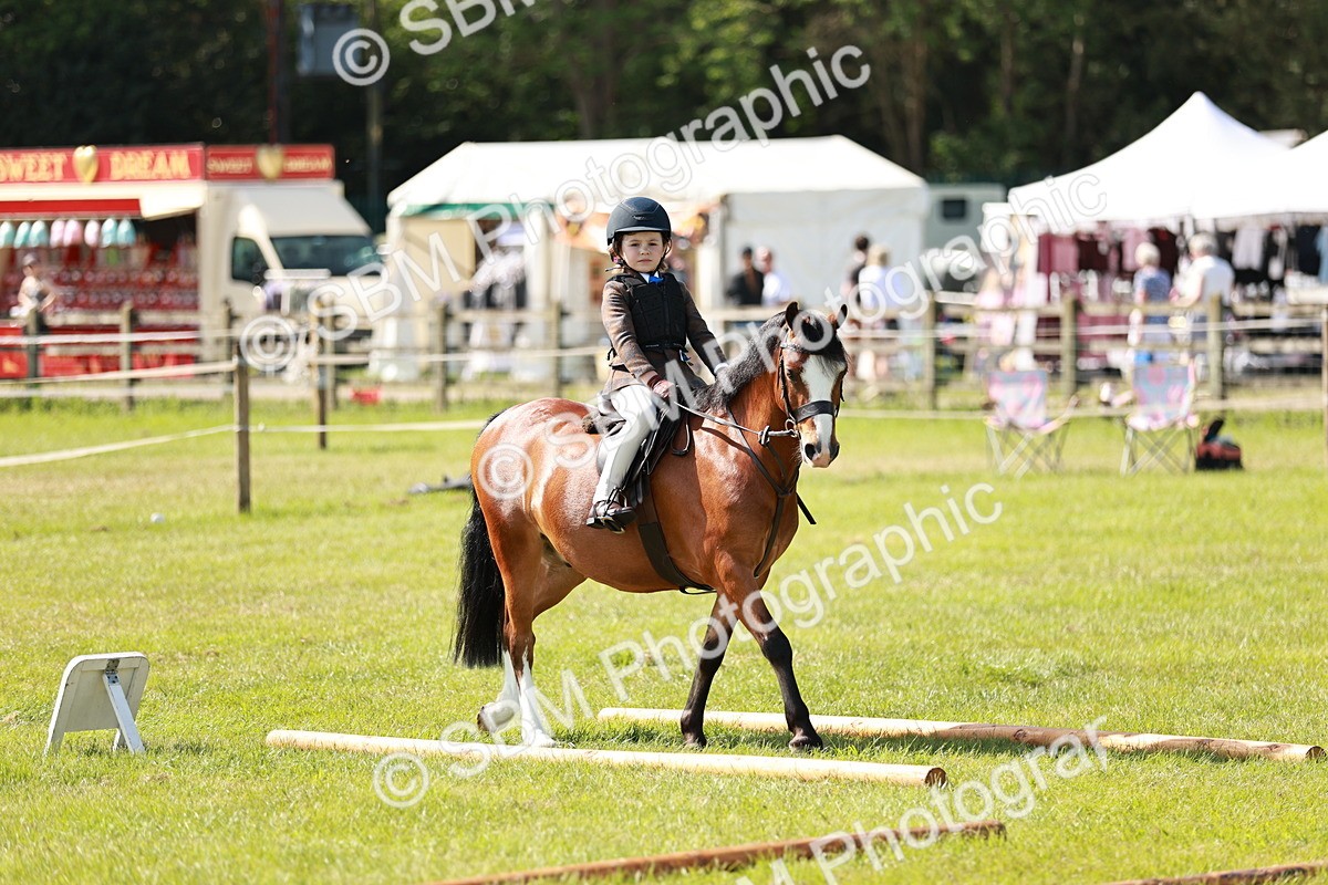 SBM_12730 - Class 106-107 - BSPS LIHS Working Sports Pony