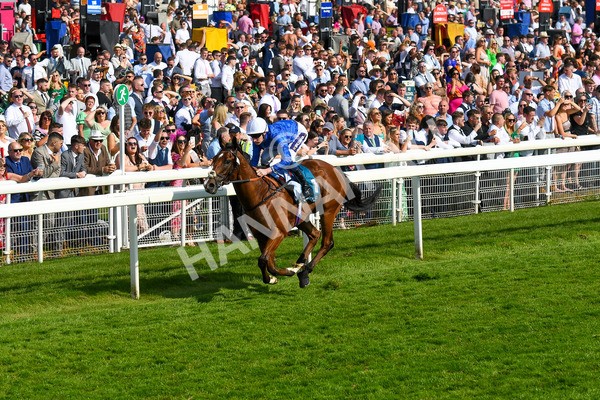 270523-Race 7-Shining Blue-0997 - Race 7 5.00pm Reg Bond Always And Forever Handicap
