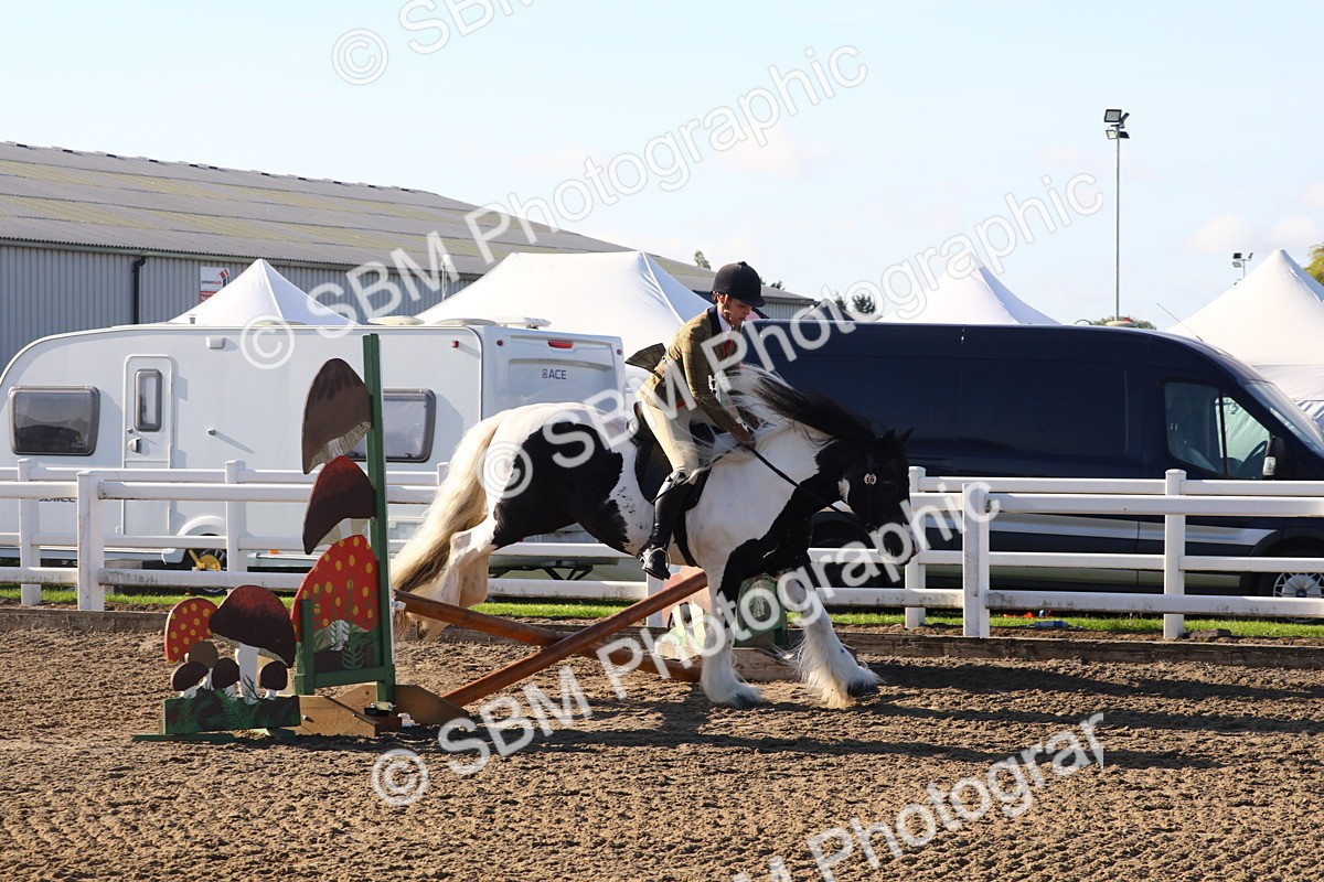 SBM_07918 - Class 501 - Riding Club Pony