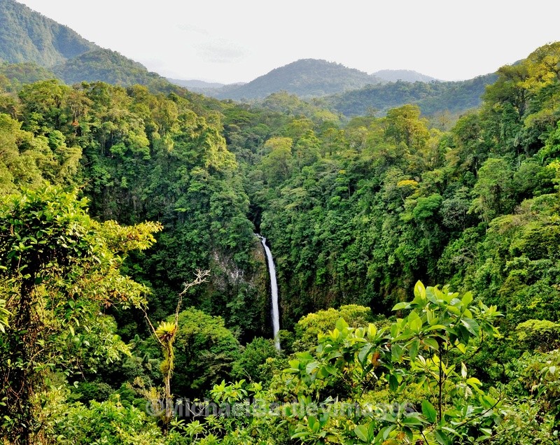 Costa Rica Waterfall - Nature as Art