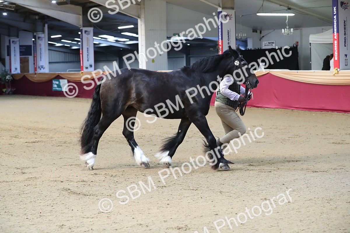 SBM_00543 - class 2a Area IH Veteran
