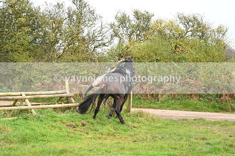 WJ7_0432 - Camera 1 & Last fence
