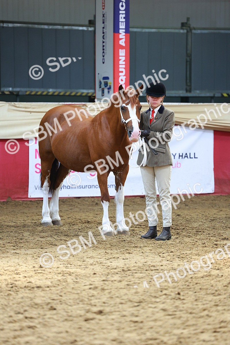 SBM_18669 - Class 903 - Sup Final - IH Pre Vet
