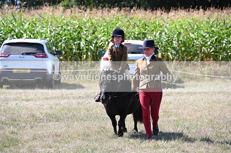 WJ6_8107 - Class 36 Lead Rein