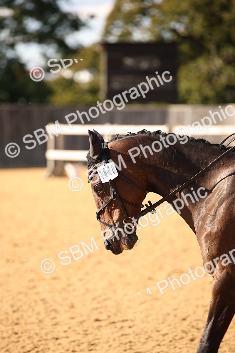 SBM_28243 - D11 - Small Tour Championship - Prelim 13