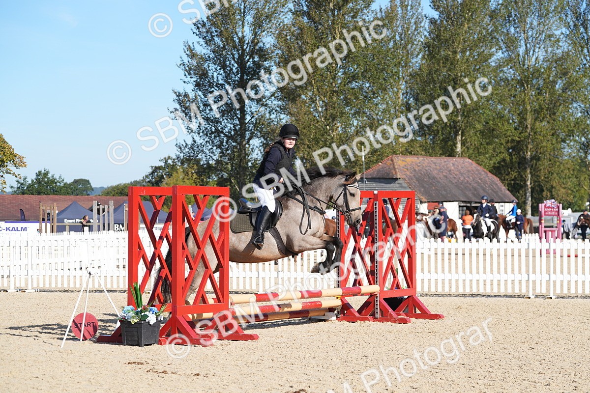 SBM_36136 - J 20 - Junior Horse 50cm Championship