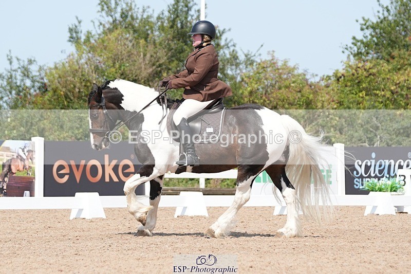 250817-122017-09293 - 185-Hermione.PerryNewoak.Roc.Bay