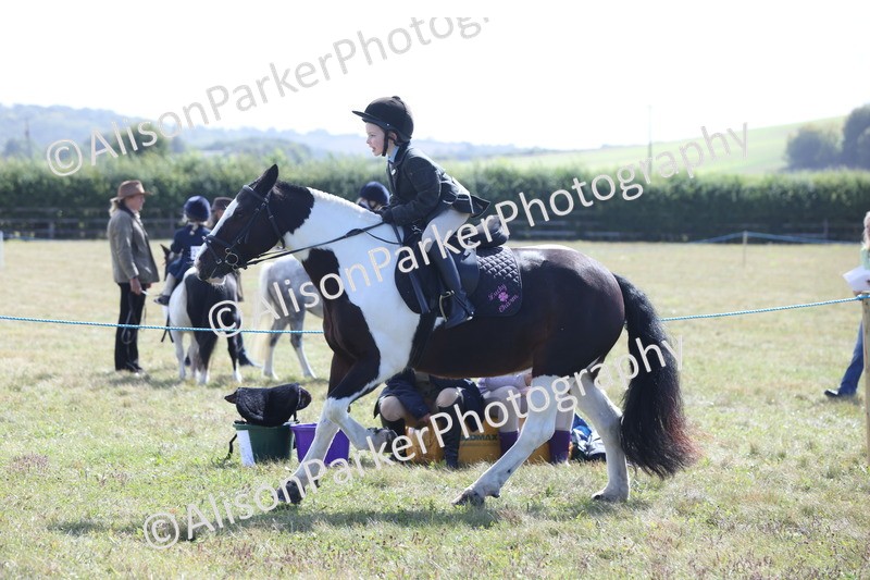 20250831-2491 - Class 16 - Family Pony