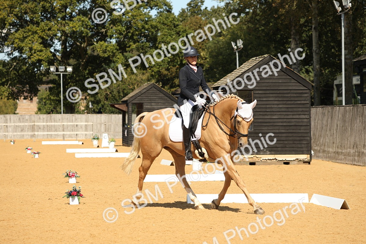 SBM_22323 - D17 - Grand Tour Championship - Novice 27