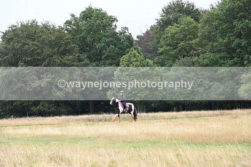 DSC_1910 - Time at Statue 12:13 to 12:32