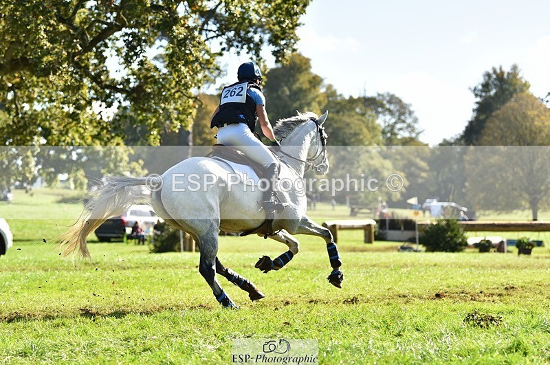 231022-115426-26140 - 262-GOOD.BOY.ALEX-Tara.Jefferies-XC