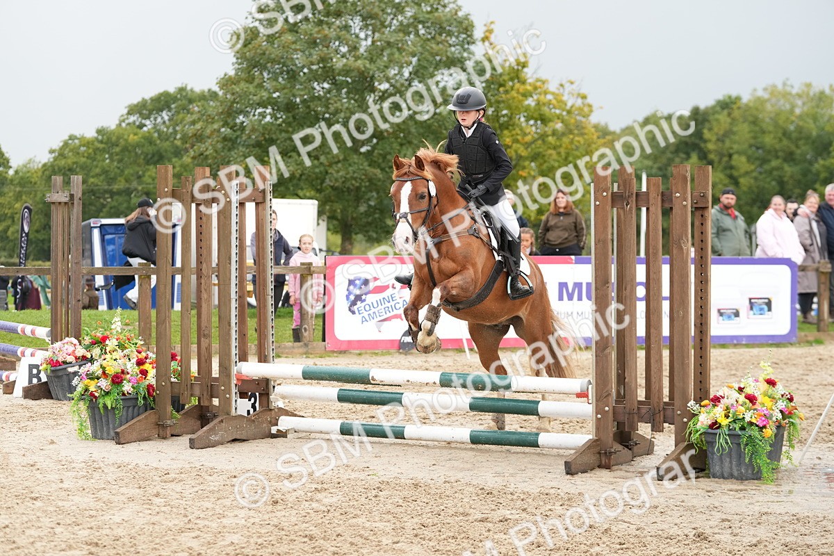 SBM_32485 - J5 - Junior Pony 50cm Championship