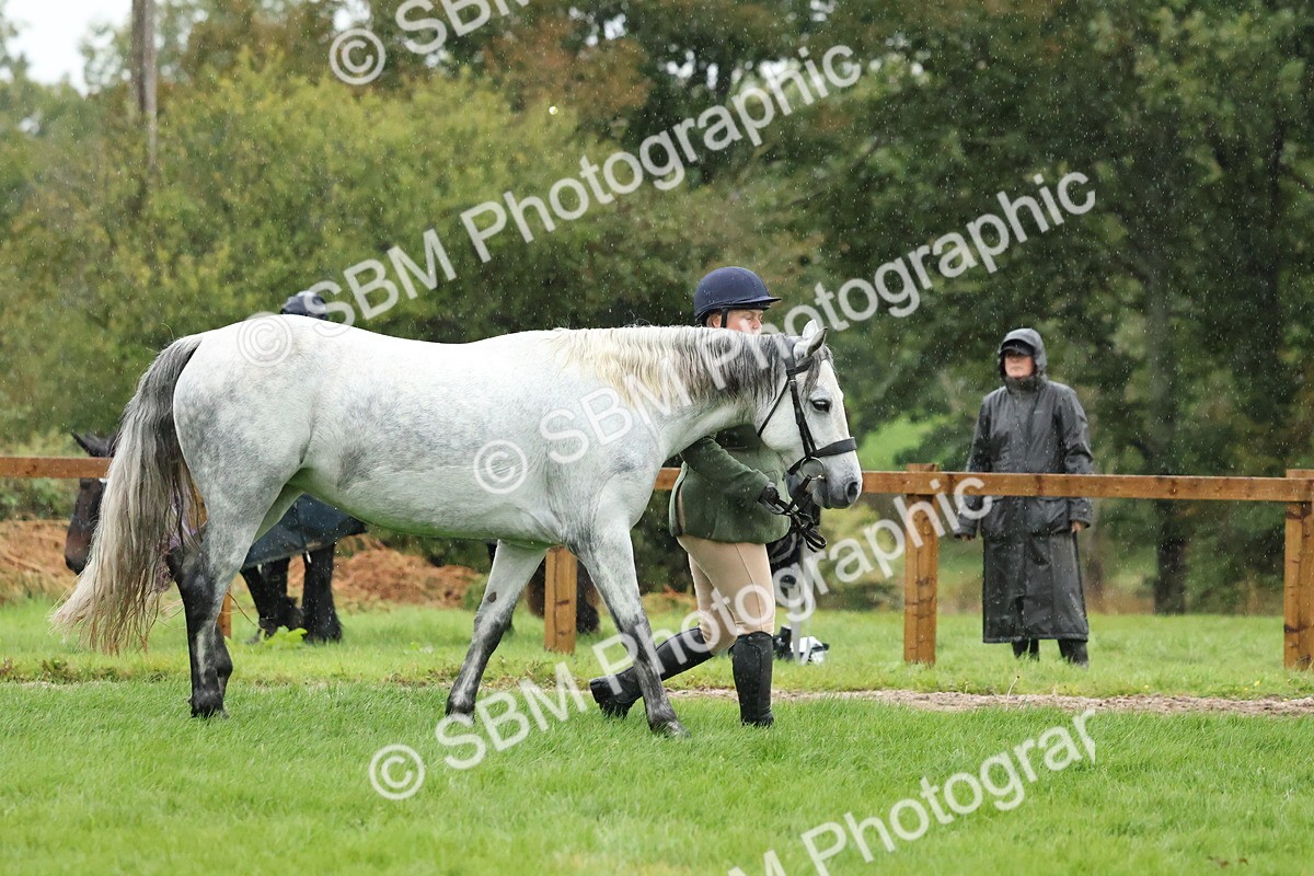 SBM_35331 - S10 - Best In Hand Horse & Pony