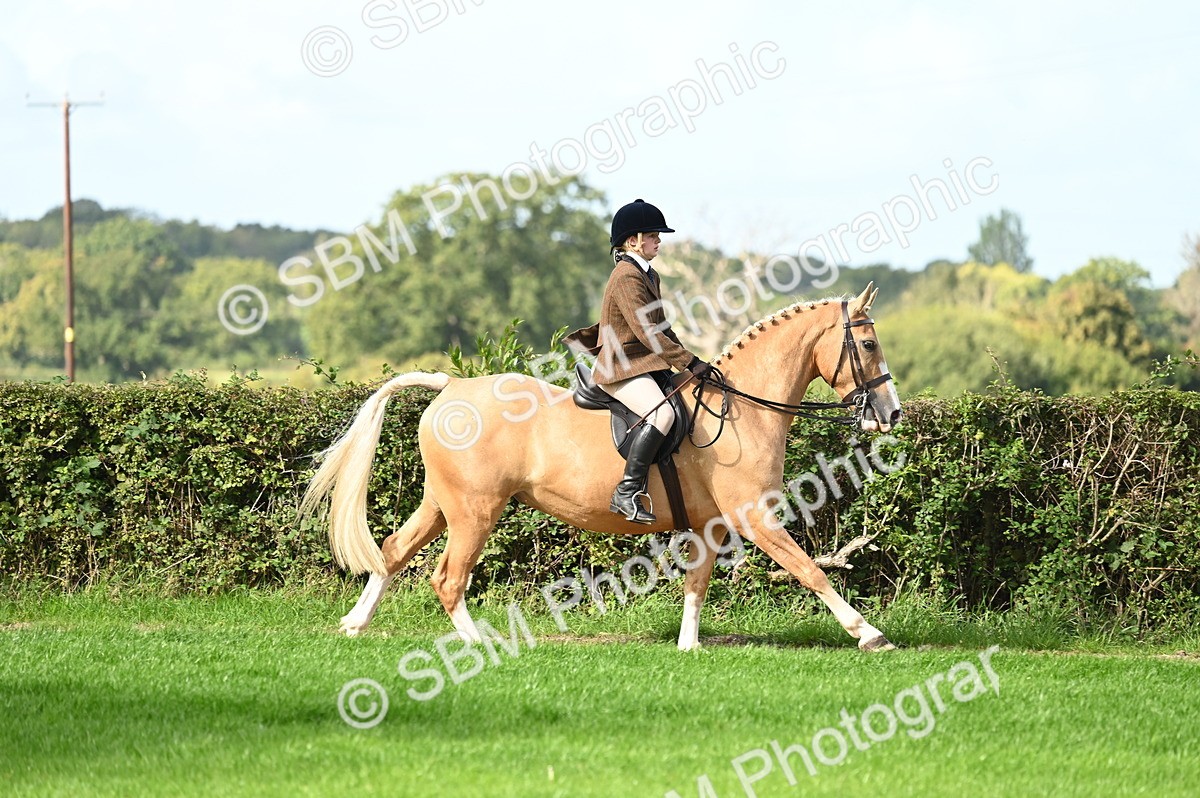 SBM_01726 - S2 - TSR Ridden Horse Showing