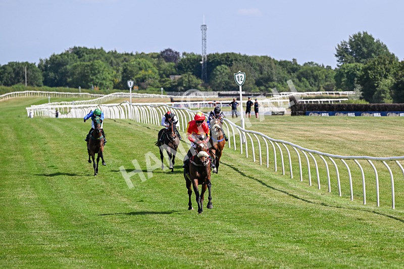 080726-Race 5-Sugarpiehoneybunch-7527 - Race 5 16.00pm Bet At racingtv.com Handicap