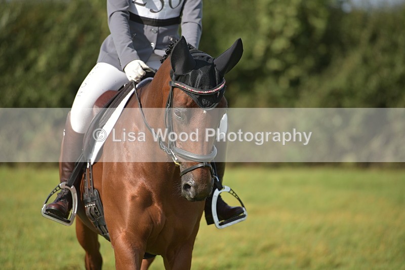 RAY_7527 - Class 2B: Trekenning Open: Dressage