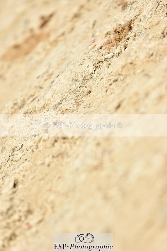 230706-134110-03140 - Cls 6 Newcomers & 1.10m Open