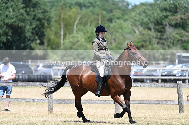 WJ7_3148 - Class 7 Riding Club Show Horse