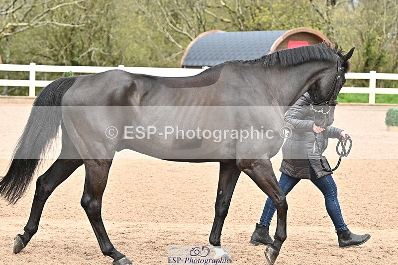 240417A-130358-00254 - 1pm to 2pm