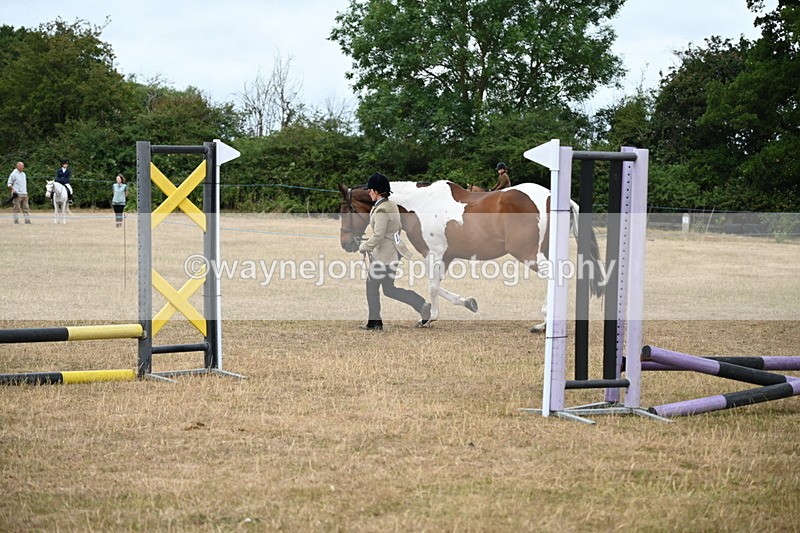 WJ6_8162 - Class 10 Coloured in Hand