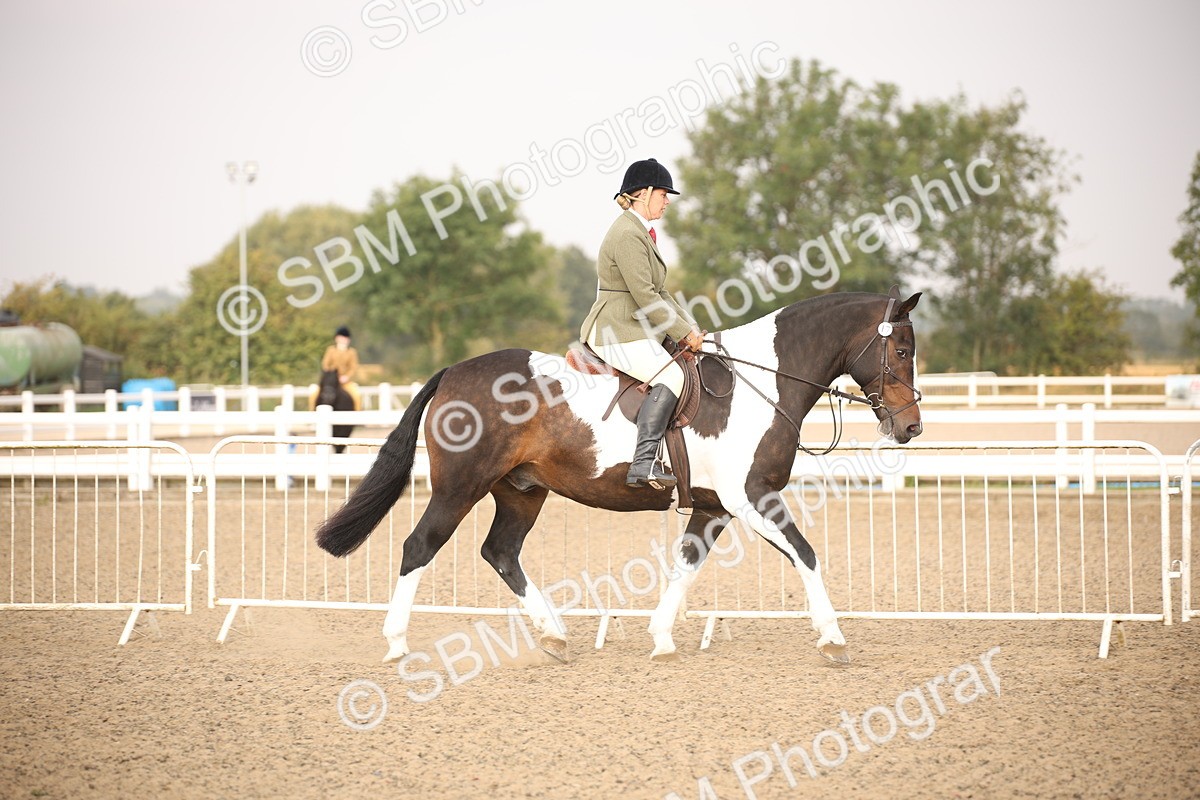 SBM_10200 - Class 402 Riding Club Horse