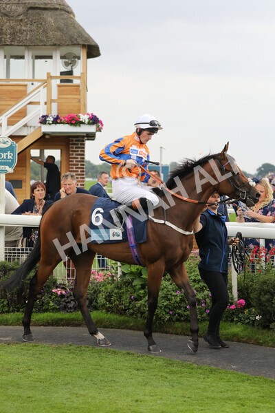 yr18082022r7-14 - Race 7 5.20pm British Stallion Studs EBF Fillies' Stakes