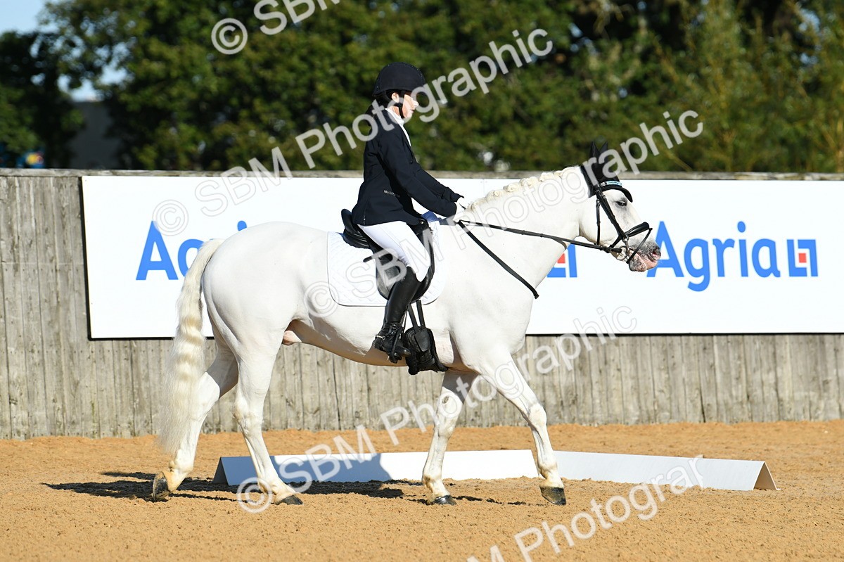 SBM_16120 - D4 - Small Tour Championship - Intro B