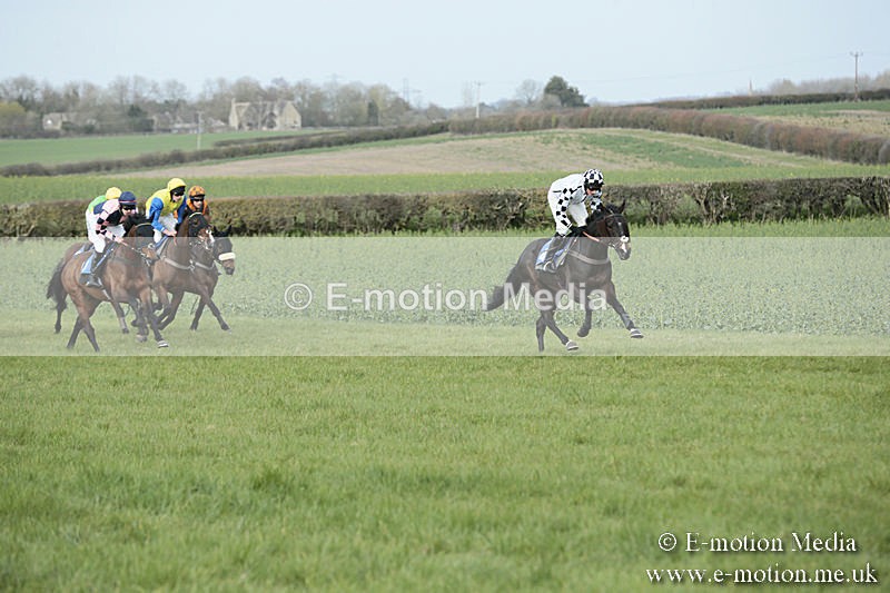 PtP 230319 281 - VWH Hunt Siddington Point-to-Point Racing 23/03/19