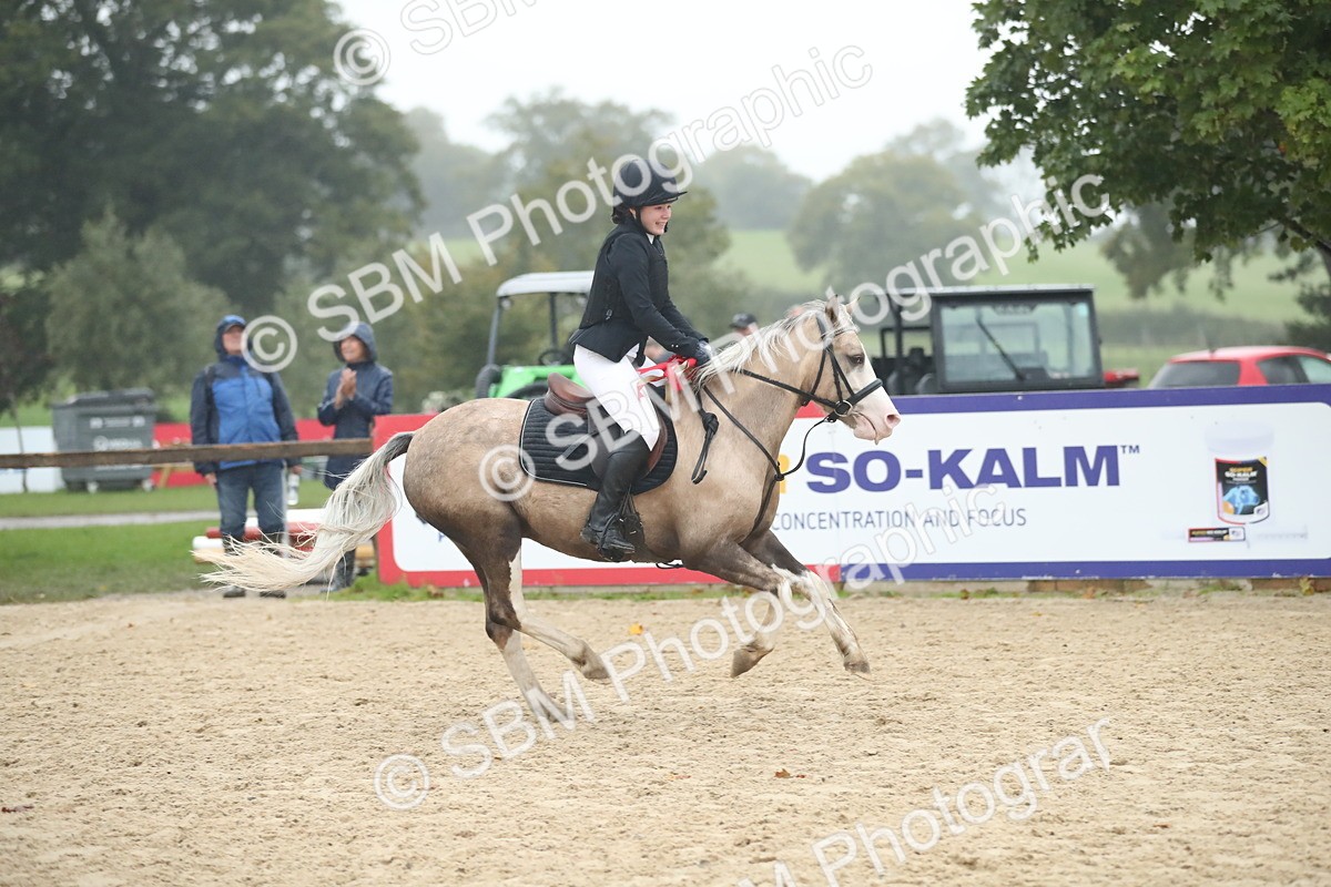 SBM_74370 - Supreme championship Junior Pony 70cm 75cm