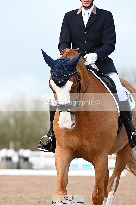 240218A-141031-08583 - 127-Alan.Daems-Charlie