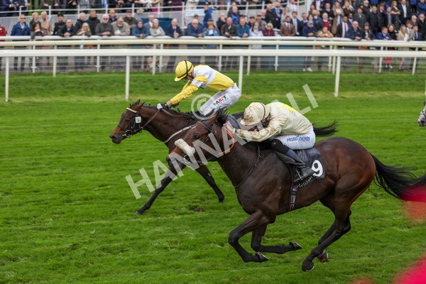 131023-Race 3-Apiarist-9787 - Race 3 3.15pm British EBF £100,000 Final