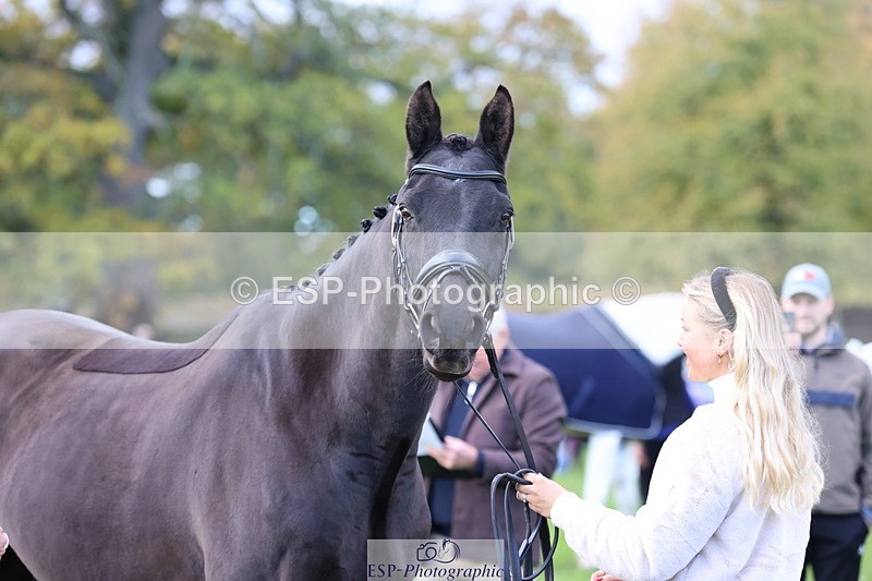 251026A-103436-23113 - E-393-Saskia.Rioux