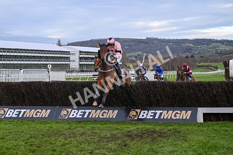 141224-Race 5-Issar DAiry-1965 - Race 5