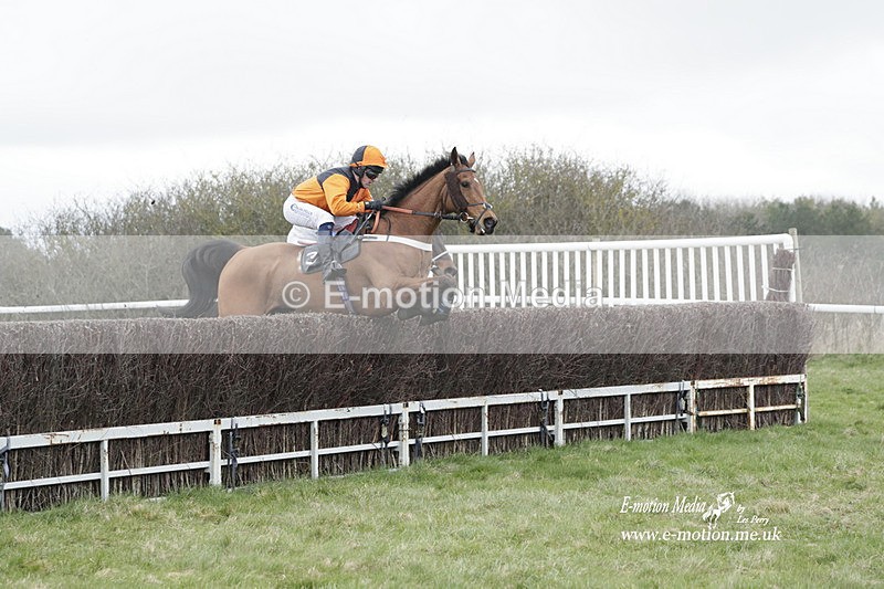 PtP 260323 0742 - New Forest Hounds Point-to-Point Larkhill 26/03/23