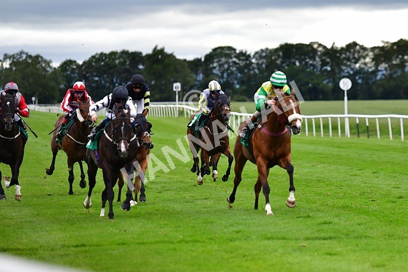 170625-Race 6-Kings Crown-4201 - Race 6