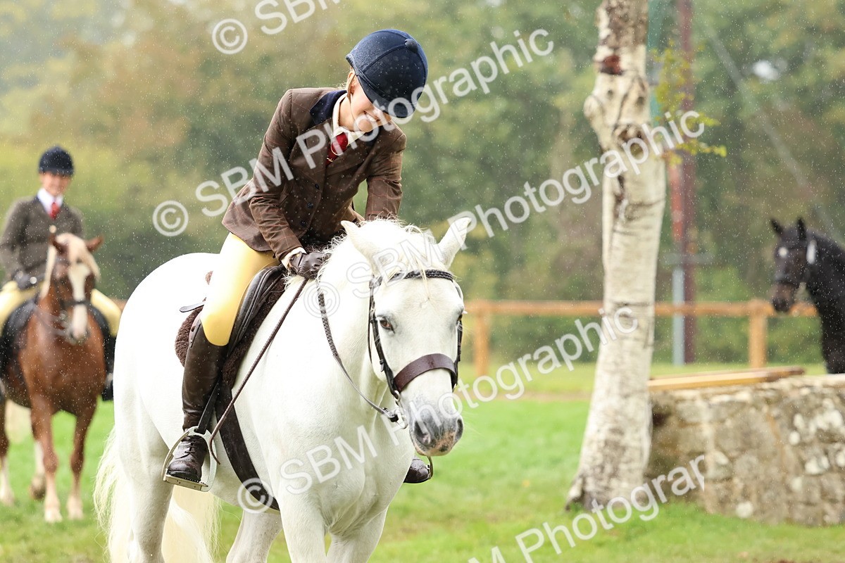 SBM_69723 - S62 - Mountain & Moorland Ridden Large Breeds