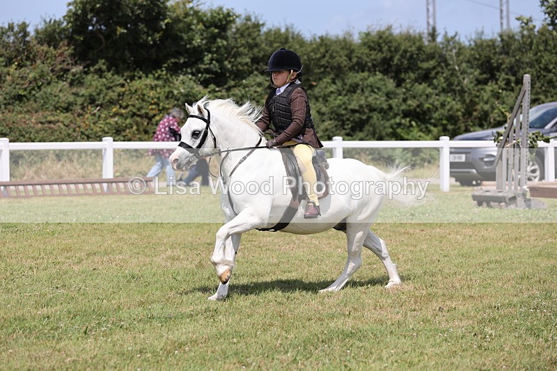 JPP_1838 - Class 18: Tiny Tots Working Hunter Pony