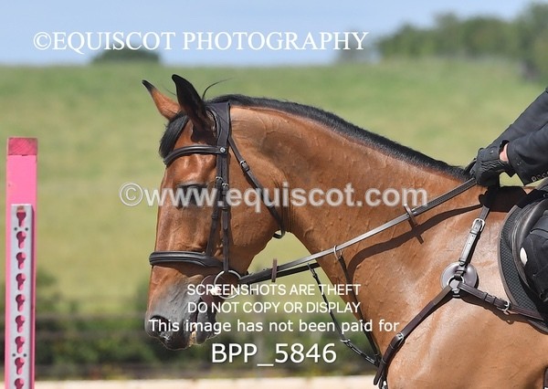 BPP_5846 - CLASS 6 Senior Newcomers/ 1.10m Open