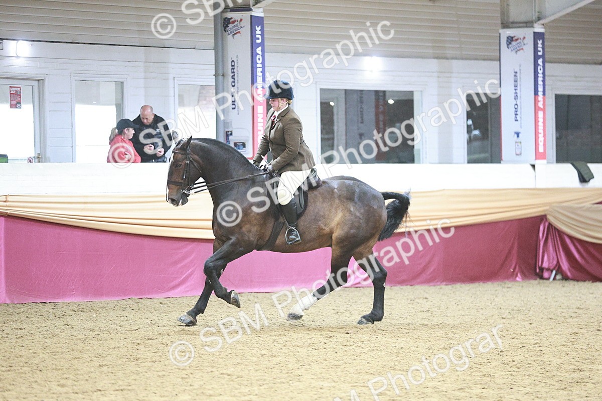 SBM_08855 - Class 12R - Regional Ridden Pre-Vet