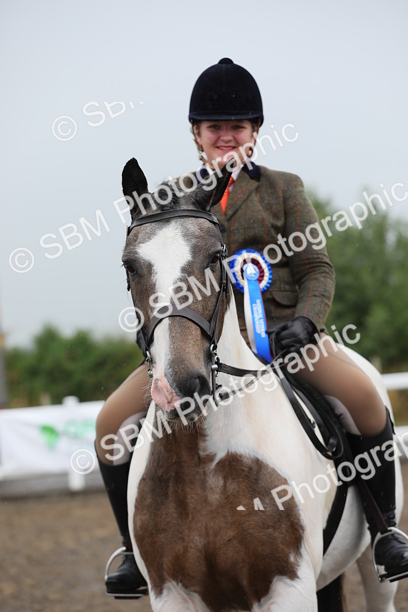 SBM_20638 - Class 804 - Ridden Veteran Pony