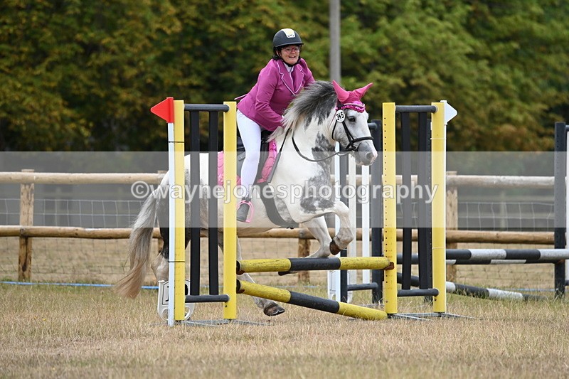 WJ6_0104 - Class 13 Novice Jumping 60cm