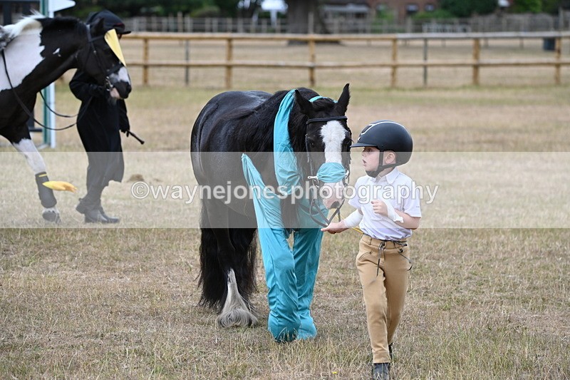 WJ6_8778 - Class 11 Fancy Dress