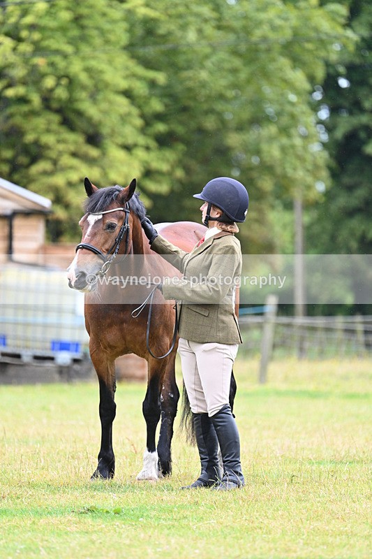 WJ7_6162 - Class 4a Prettiest Mare over 14hh