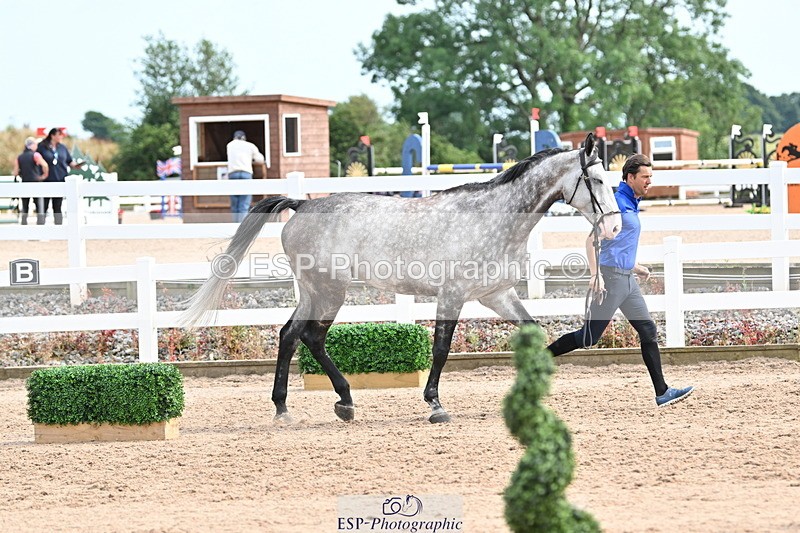 240717A-164235-03486 - Trot Up 4pm to 5pm