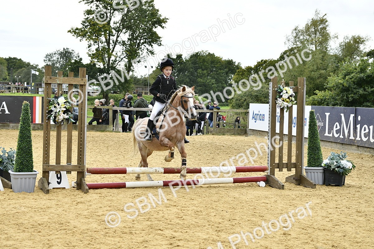 SBM_65520 - J2a mini Tour Junior Pony 30cm Championship