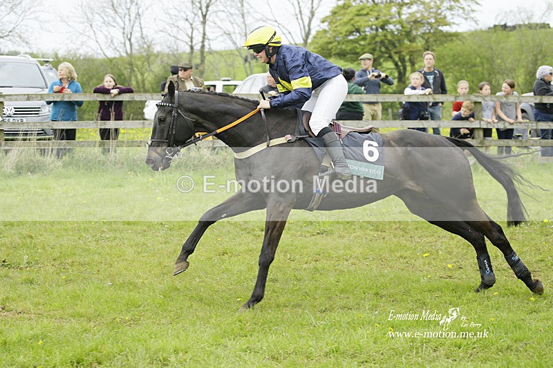 PtP 020522 291 - Mollington Races Point-to-Point 02/05/22