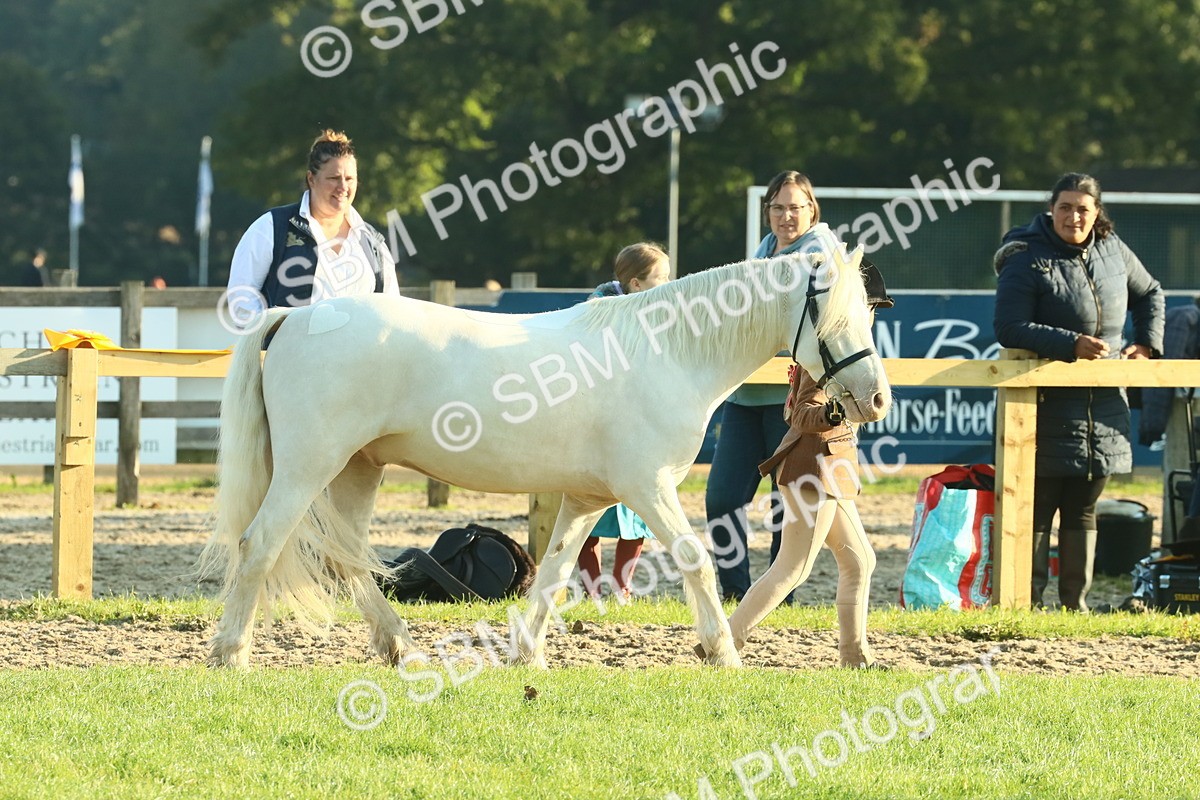 SBM_57366 - S37 - Starters In Hand Showing